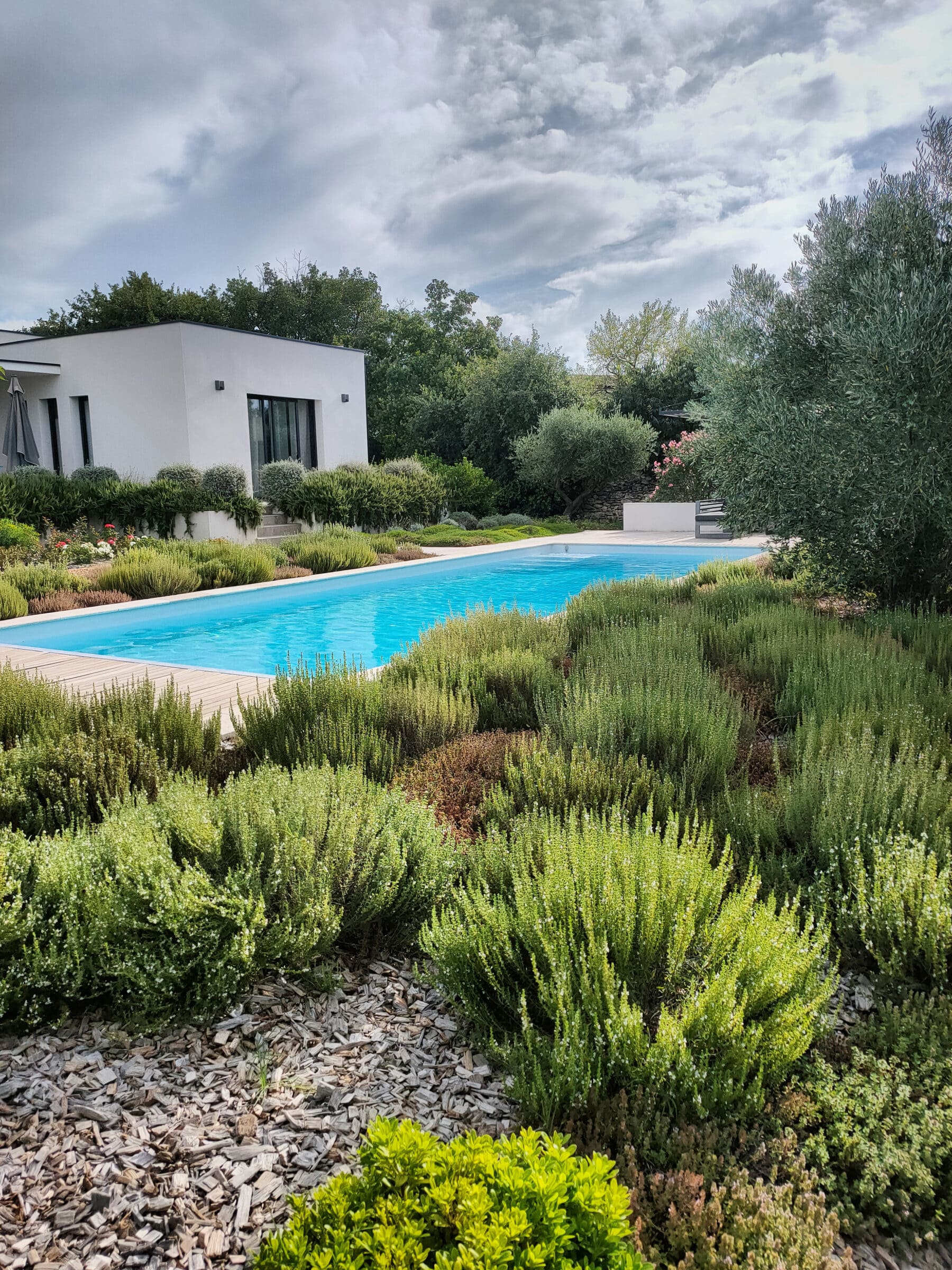 Une piscine en pleine quiétude au milieu de la végétation.