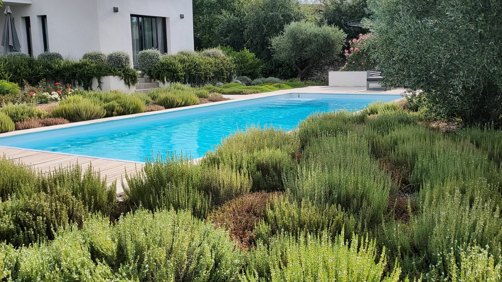 Une piscine en pleine quiétude au milieu de la végétation.
