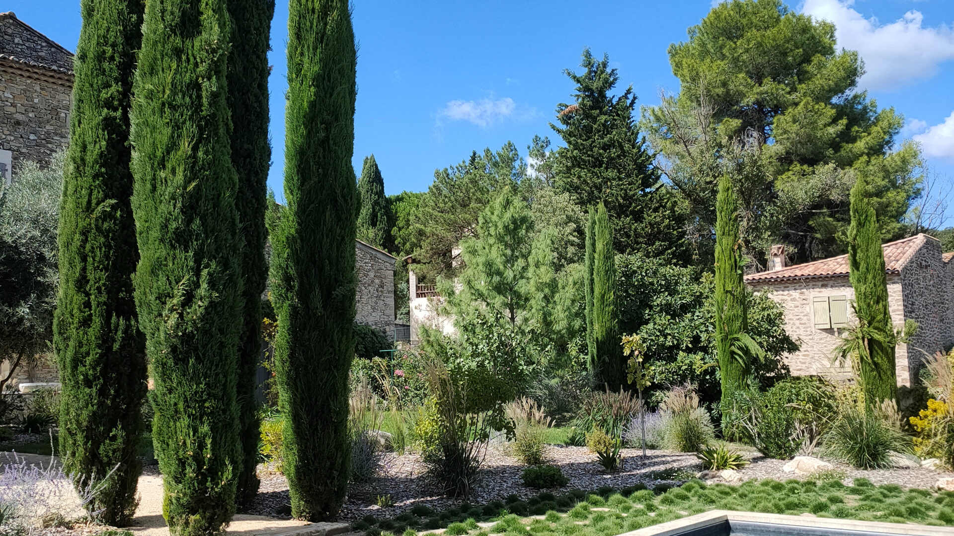 piscine esprit lavoir bastide provençale cyprès